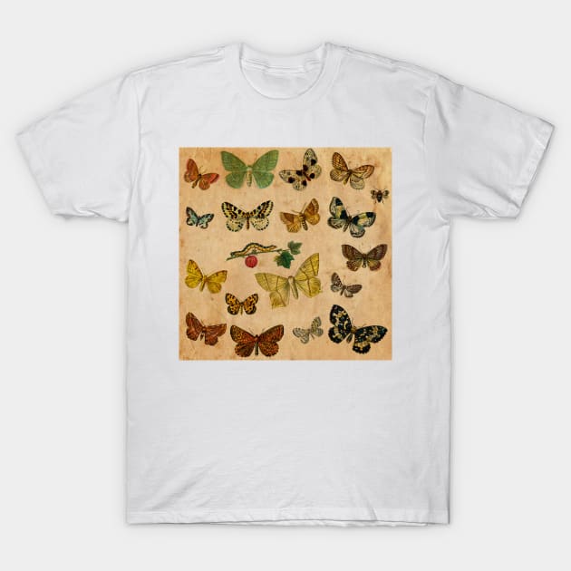 Butterflies Gold T-Shirt by My Artsam